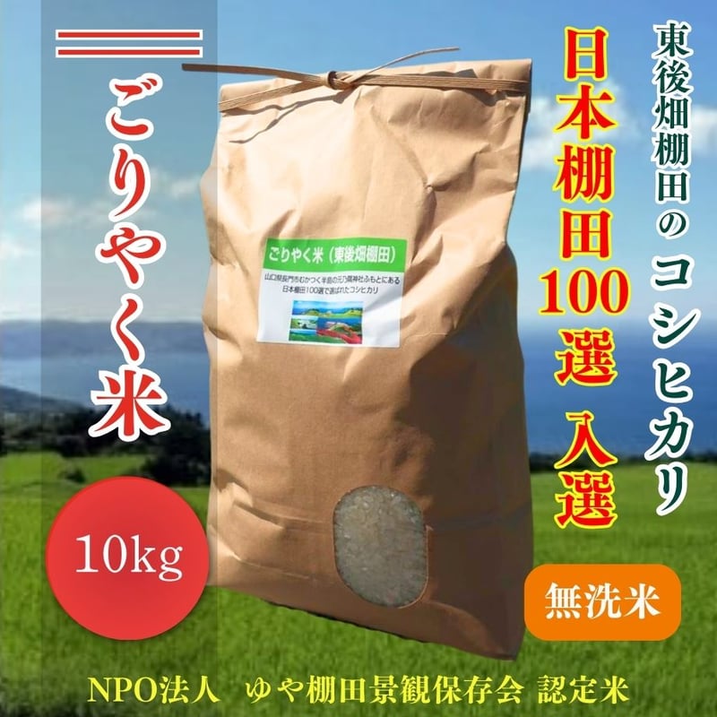 初出荷 新米 令和6年 2024年 近江米 コシヒカリ 無洗米 10kg