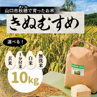 販売開始【2024年（令和６年）】　あいお(秋穂)で育ったお米　きぬむすめ　10Kg　ご注文後に精米し、鮮度の高いお米を配送 します。