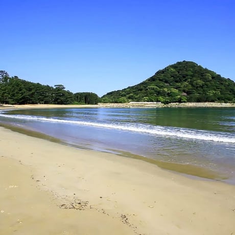 萩の湯 温泉の素（10回分おまとめパック）【送料無料】