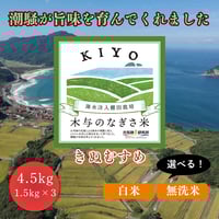 販売開始【2024年（令和６年）】真空パック　木与のなぎさ米　きぬむすめ　4.5Kg 　ご注文後に精米し、鮮度の高いお米を配送 します。