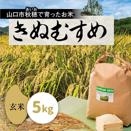 販売開始【2025年（令和7年）】　あいお(秋穂)で育ったお米　きぬむすめ　玄米　5Kg （年6回　毎月コース）