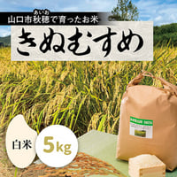 販売開始【2025年（令和7年）】　あいお(秋穂)で育ったお米　きぬむすめ　白米　5Kg （年6回　毎月コース）ご注文後に精米し、鮮度の高いお米を配送 します。