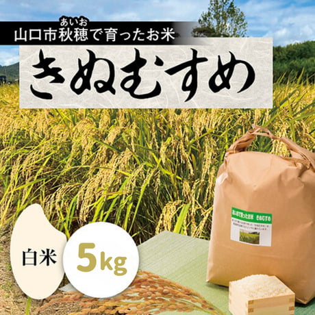 販売開始【2025年（令和7年）】　あいお(秋穂)で育ったお米　きぬむすめ　白米　5Kg （年6回　毎月コース）ご注文後に精米し、鮮度の高いお米を配送 します。