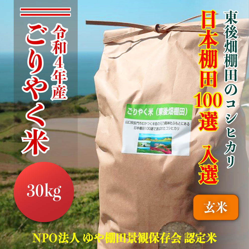 岩国市手渡し】蛍の出る棚田で育ったお米！令和5年新米ひのひかり３０キロ玄米-