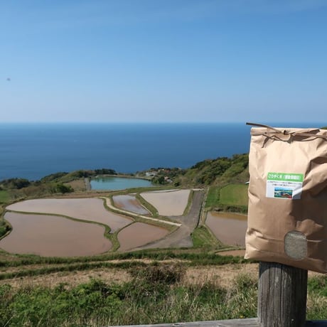 販売開始【2025年（令和7年）新米】　ごりやく米（東後畑棚田こしひかり）（5kg）ご注文後に精米し、鮮度の高いお米を配送 します。