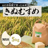 販売開始【2025年（令和7年）】　あいお(秋穂)で育ったお米　きぬむすめ　無洗米　5Kg  （年6回　毎月コース）ご注文後に精米し、鮮度の高いお米を配送 します。