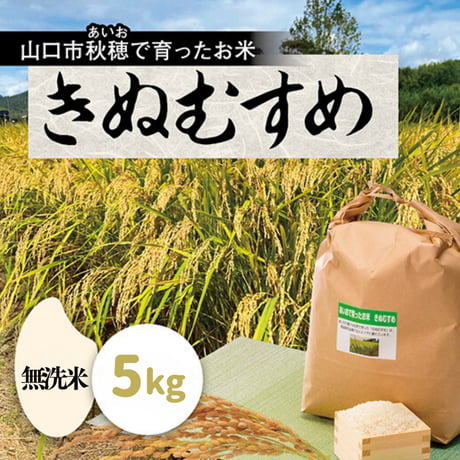 販売開始【2025年（令和7年）】　あいお(秋穂)で育ったお米　きぬむすめ　無洗米　5Kg  （年6回　毎月コース）ご注文後に精米し、鮮度の高いお米を配送 します。