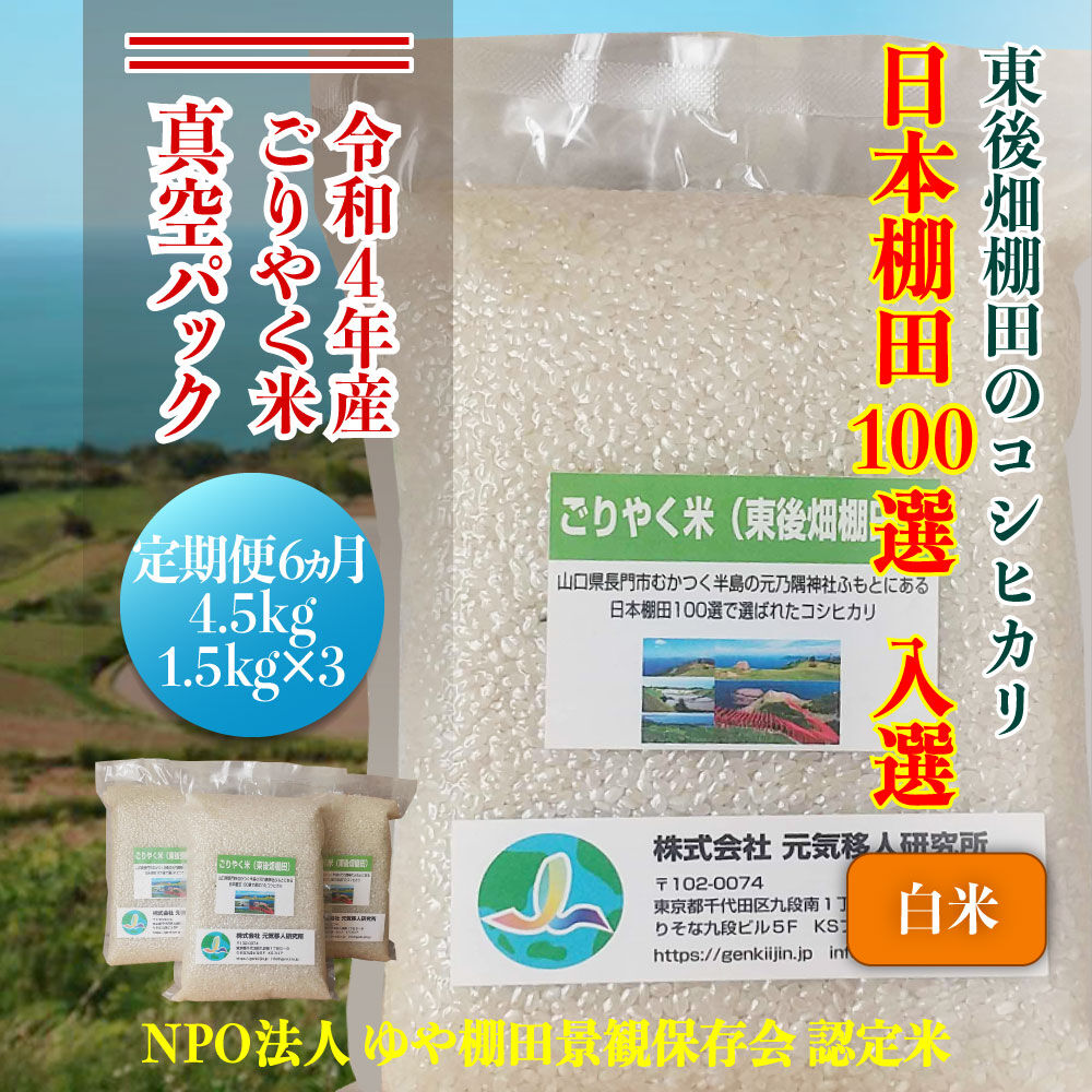 定期便　ごりやく米「東後畑棚田こしひかり」白米4.5㎏(白米真空パック1.5㎏×3個)　定期便...