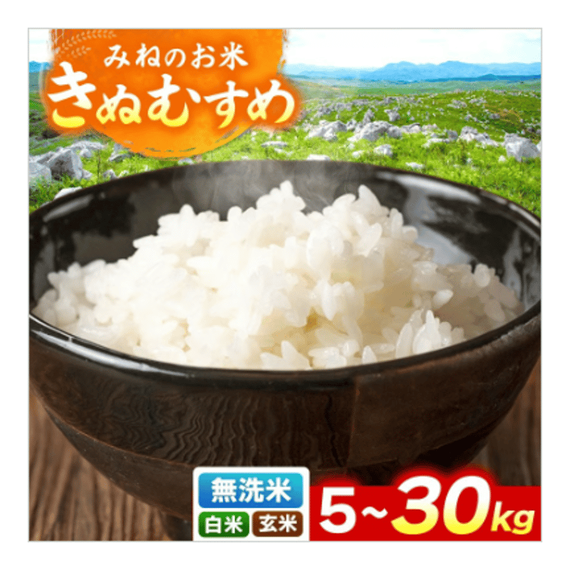2025年（令和7年）新米】 玄米 無洗米 白米 3ぶづき米 みねのお米 きぬ