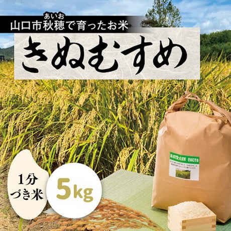 販売開始【2025年（令和7年）】　あいお(秋穂)で育ったお米　きぬむすめ　1分づき米　5Kg（年6回　毎月コース）ご注文後に精米し、鮮度の高いお米を配送 します。