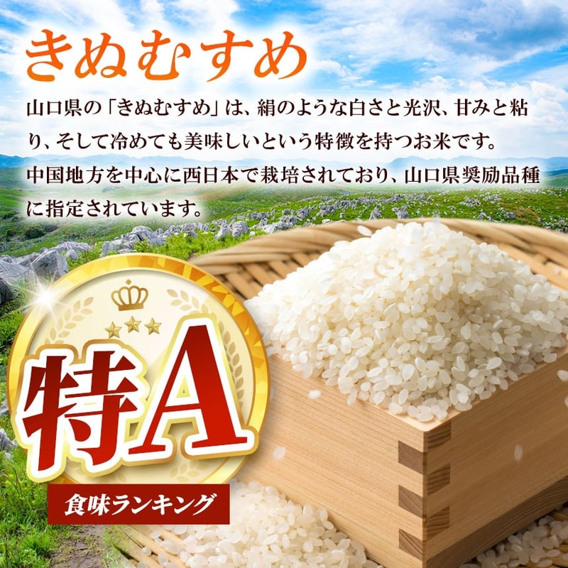 2025年（令和7年）新米】 玄米 無洗米 白米 3ぶづき米 みねのお米 きぬ