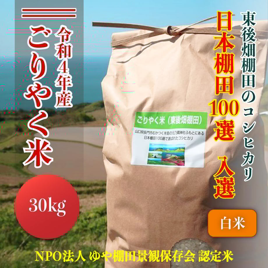 60563fd2c9e02c675e0c8ca2