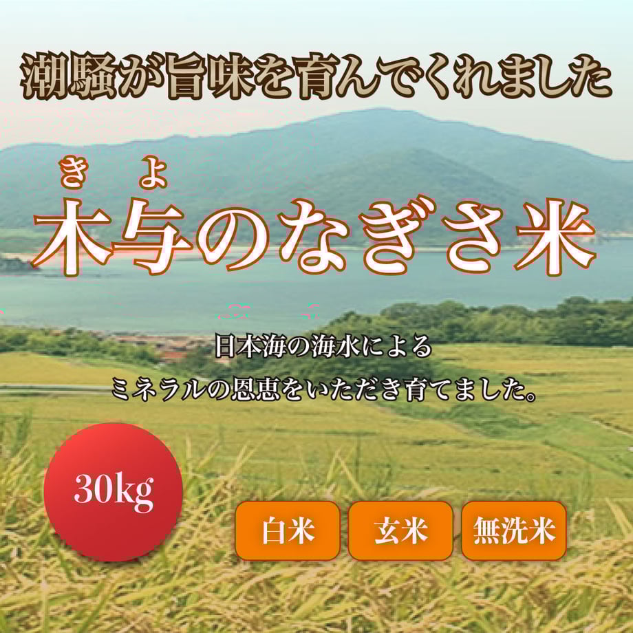 61d5dd61110dda2eec4ef948