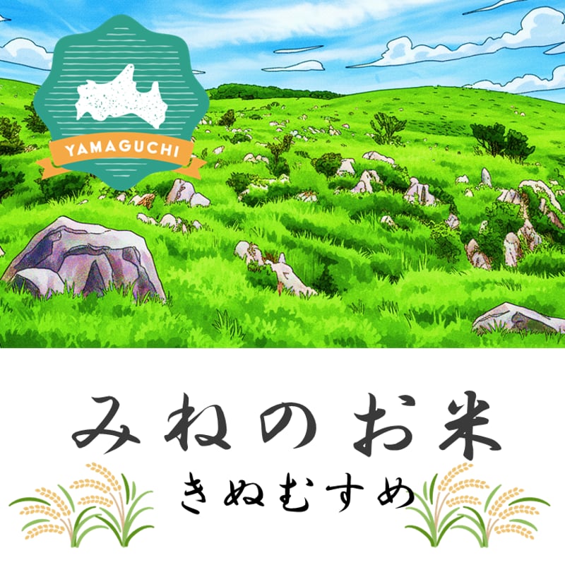 2025年（令和7年）新米】 玄米 無洗米 白米 3ぶづき米 みねのお米 きぬ