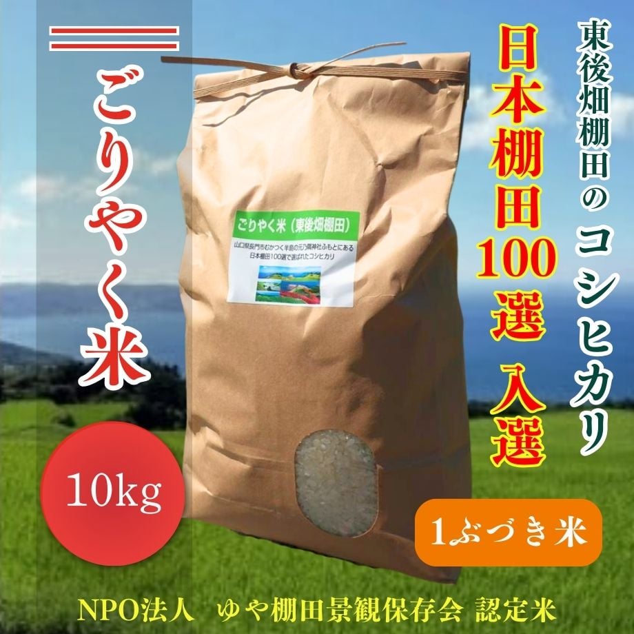66d1ed6216b4e9198afaa650
