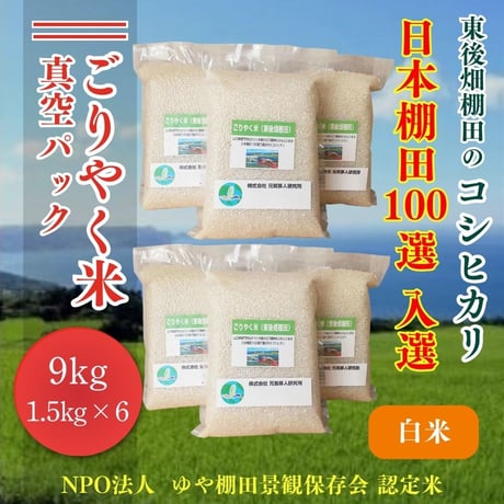 販売開始【2025年（令和7年）新米】真空パック　白米　ごりやく米「東後畑棚田こしひかり」 白米9.0㎏ (白米真空パック1.5㎏×6個)