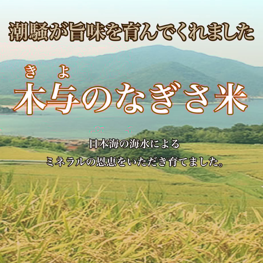 66dc6271f30db25efc42a732