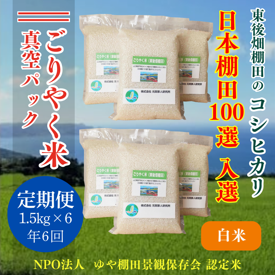 66e1b207c5bd30091cf3a64e