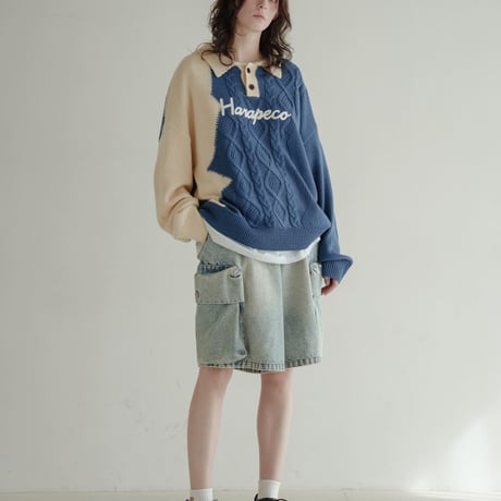 Bicolor Button Knit - ブルー