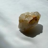 生珠-いくたま〜龍の卵（翼）光輝の聖獣 ― ソルエン（Soluen）