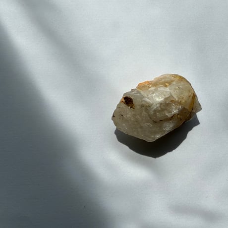 生珠-いくたま〜龍の卵（翼）光輝の聖獣 ― ソルエン（Soluen）