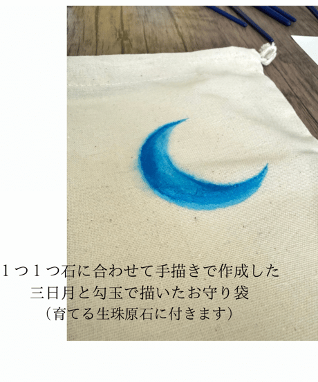育てるお守り”生珠-龍の宝珠”C