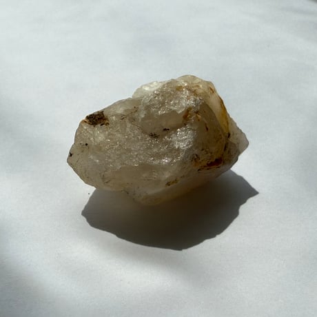 生珠-いくたま〜龍の卵（翼）光輝の聖獣 ― ソルエン（Soluen）