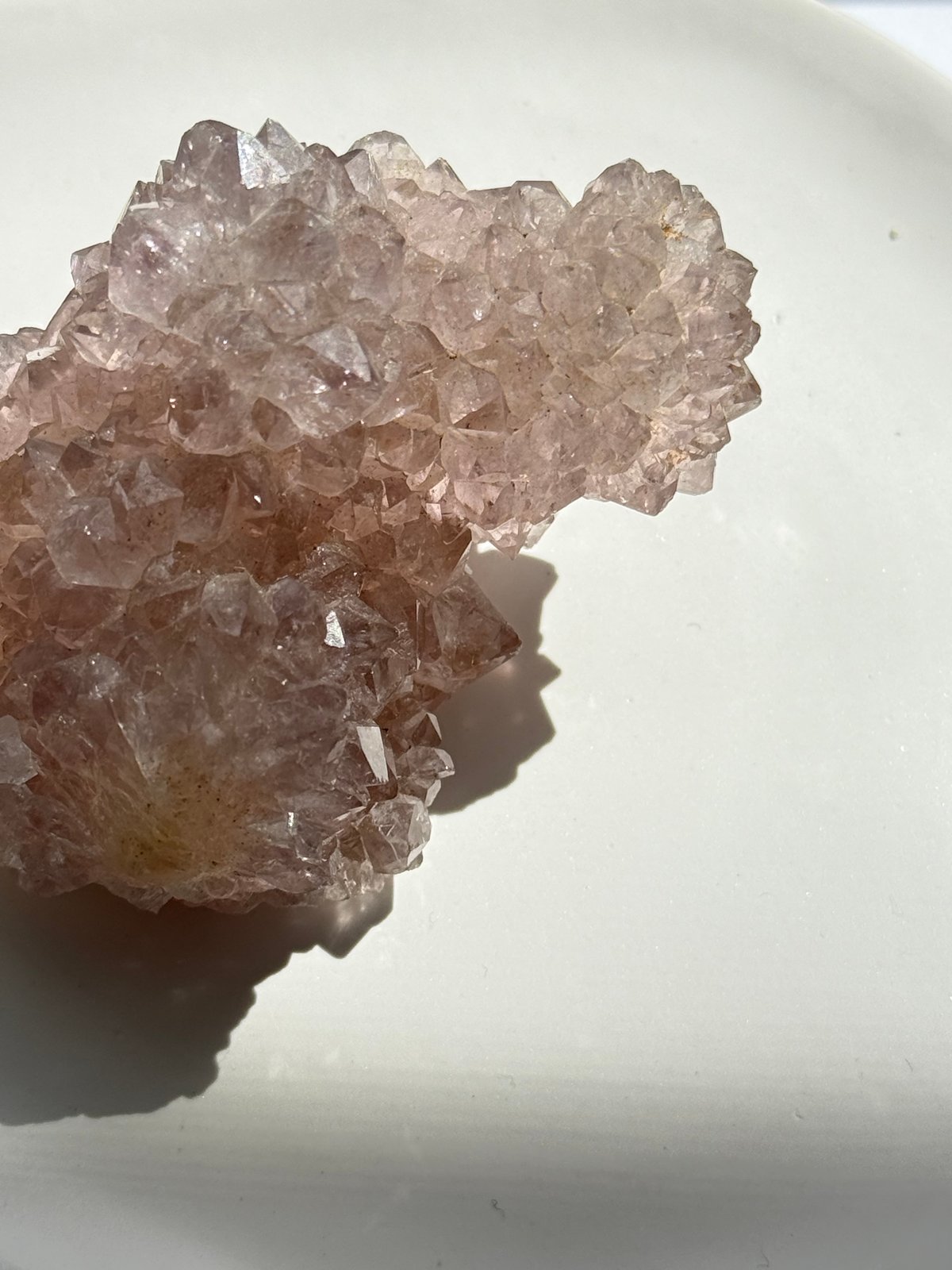 精霊の結晶 ― カクタスアメジスト（南フランス産） | お守り