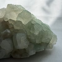 翠晶の聖獣 ― クリスタリア（Crystalia）・アポフィライト