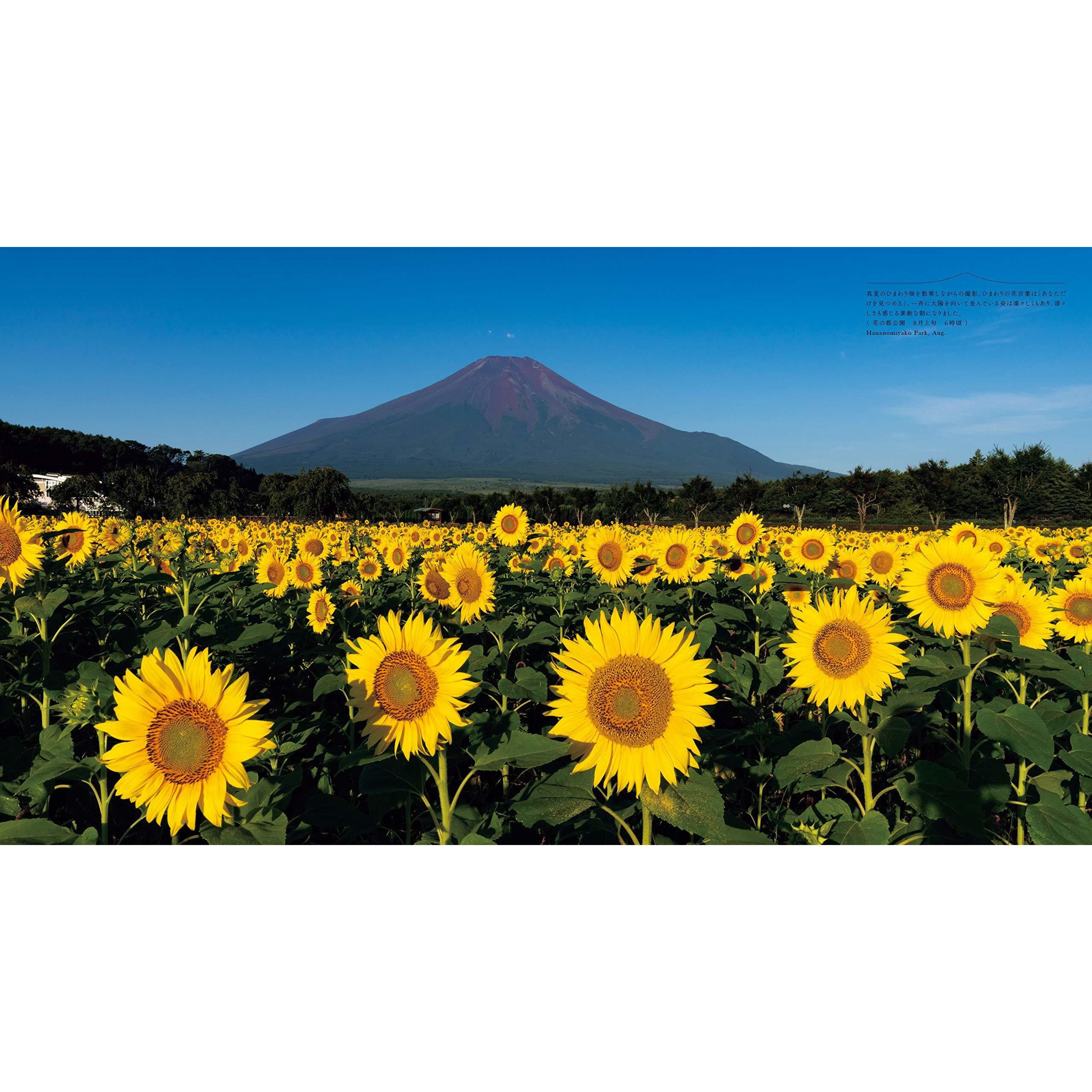 作家サイン入り】写真集（Fujiyama）永遠の富士山 | （Fujiyama）永遠