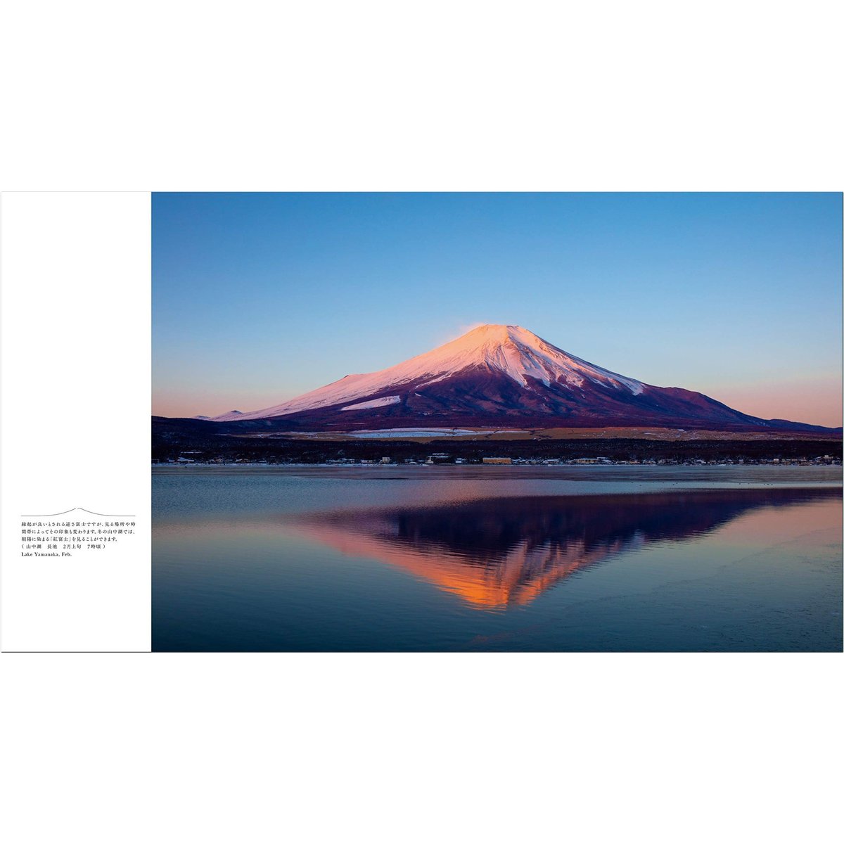 5冊セット（内1冊サイン入り） 富士山 写真集 作家サイン入り】写真集（Fujiyama）永遠の富士山 | （Fujiyama
