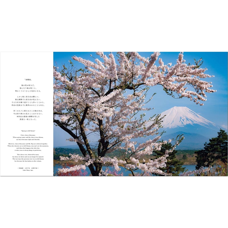 ●『桜と富士山』●がんどうあつし写真撮影・編集落款サイン入り20枚限定A4額装品 ○『桜と富士山』○がんどうあつし写真撮影・編集落款サイン入り