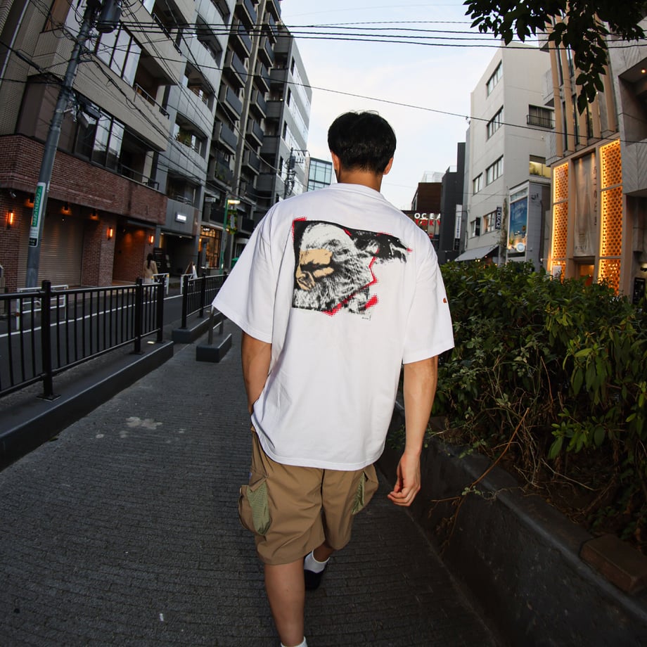68a7d942c4153f754ab009fa
