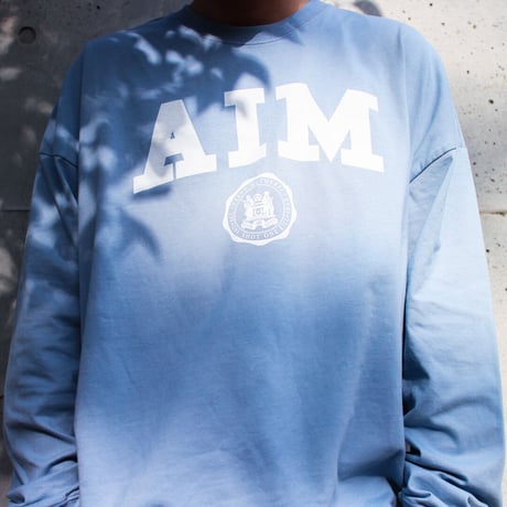AIM L/S T & Badge Set