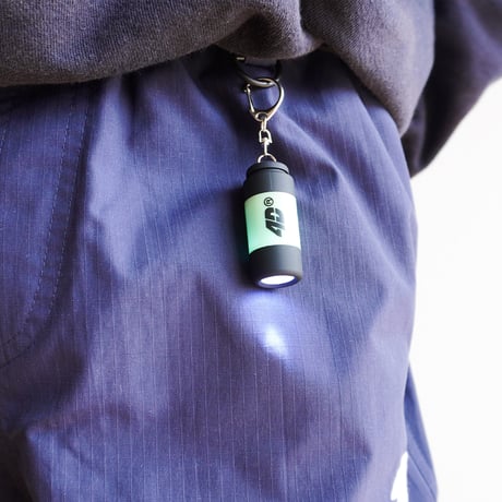 4D® LED Keychain