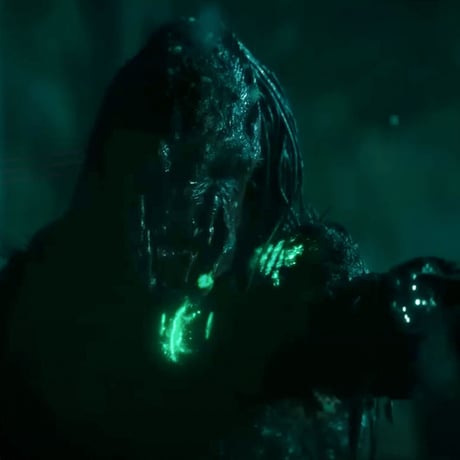 PREDATOR HAT