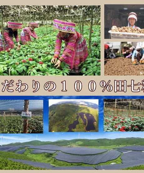 田七人参粉　１００％　１ヵ月分