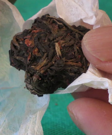 菊花香小沱茶