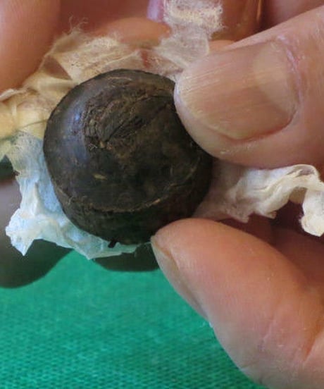 プーアル香小沱茶