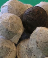 プーアル香小沱茶