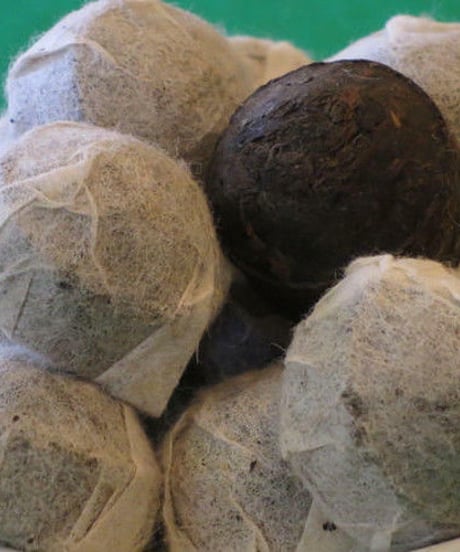 プーアル香小沱茶