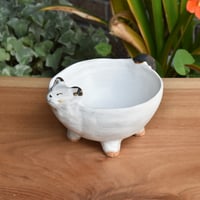 【アンパル陶房】宮良ゆうな ねこ 足つきボウル