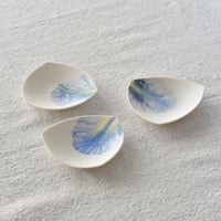 【片瀬有美子】moca Tray △