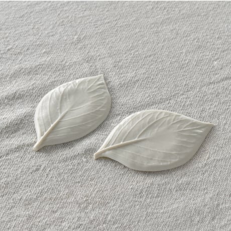 【片瀬有美子】moca Leaf