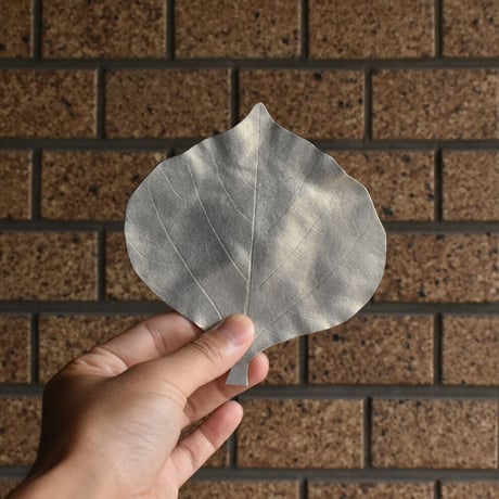 【金細工まつ】琉球錫器 / 純錫 デイゴ葉皿