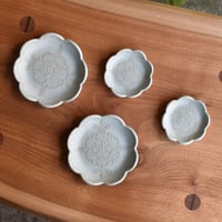 【谷口なづみ】utuwa+ 青磁マット 花形皿