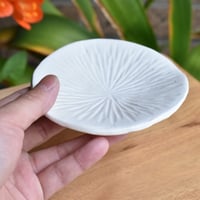 【アンパル陶房】宮良ゆうな サンゴの皿（小）