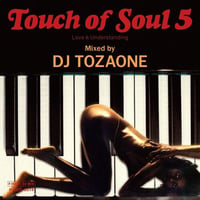 DJ TOZAONE / Touch of Soul vol.5 (MIX CD)