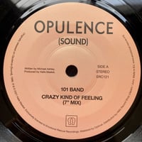 101 Band  – Crazy Kind Of Feeling (7")