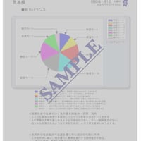 能力診断   (ダウンロード）